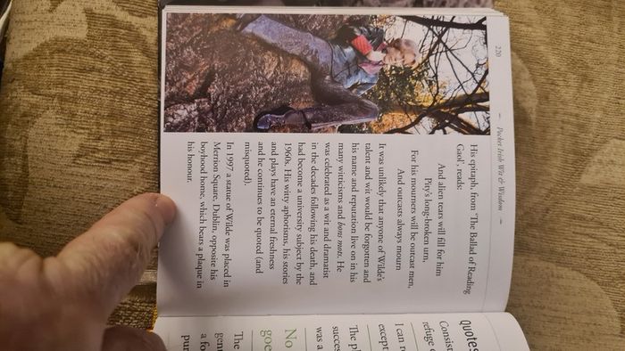 Pocket Irish With And Wisdom. Hardback In Very Good Condition.