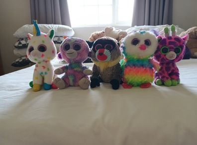 Beanie Boo