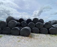 Last years Silage for Sale