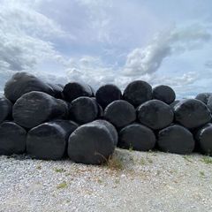 Last years Silage for Sale