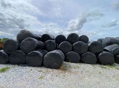Last years Silage for Sale