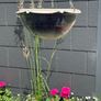 ceramic plant pot(s) Image 3