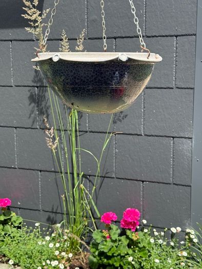 ceramic plant pot(s)