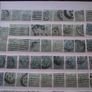 A huge collection of Edward VII stamps in the stock book Image 3