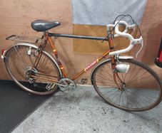 Raleigh Bike