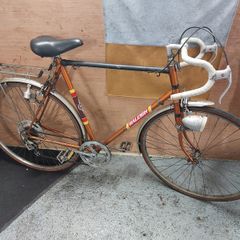 Raleigh Bike