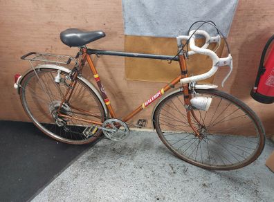 Raleigh Bike