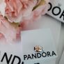 New genuine pandora family charm Image 2