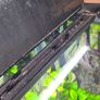 aquarium light aquasky fluval Image 4
