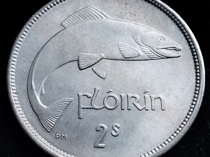 Ireland - 1954 - Florin - Salmon - UNC - KM.15a - [2666]