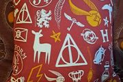 Harry Potter cushion
