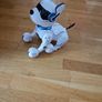 Ziggy the Robot Dog. Age 6+. ( No Remote Control) Image 3