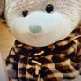 Large Dr. Bear (Grey) Large Teddy with Jacket. New . Image 4