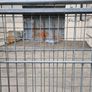 4 Sided Roll Cages - Second Hand Image 4