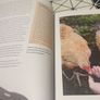 Chickens: The Essential Guide to Choosing and Keeping Happy, Healthy Hens by Suzie Baldwin ( Image 3