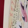 Ray Flanagan/ Tales from a Wild Goose's Quill,2006,1st ed. Image 3
