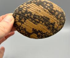 Vintage Snakeskin Pattern Belt Buckle - Oval Western Style, Pre-Owned with Patin