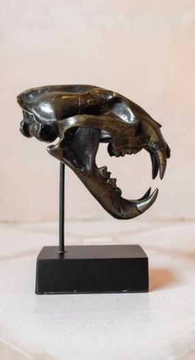 Sumatran Tiger Skull - Bronze, Metal/Wooden Stand