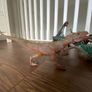 Schleich dinosaur large collection Image 7