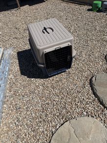 Pet Carrier