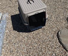 Pet Carrier