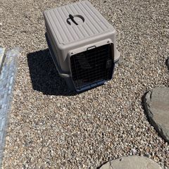 Pet Carrier