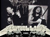 Metallica Concert Poster Milton Keynes Bowl 1993 Replica
