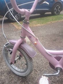 Kids Molli Raleigh bike