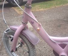 Kids Molli Raleigh bike