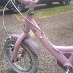 Kids Molli Raleigh bike