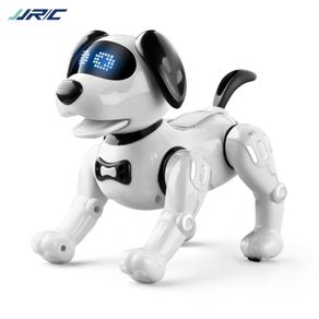 Intelligent Stunt Intelligent Touch Sensor RC Dog