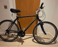 Raleigh Urban 3 Bike