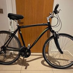Raleigh Urban 3 Bike