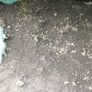 top soil Image 2