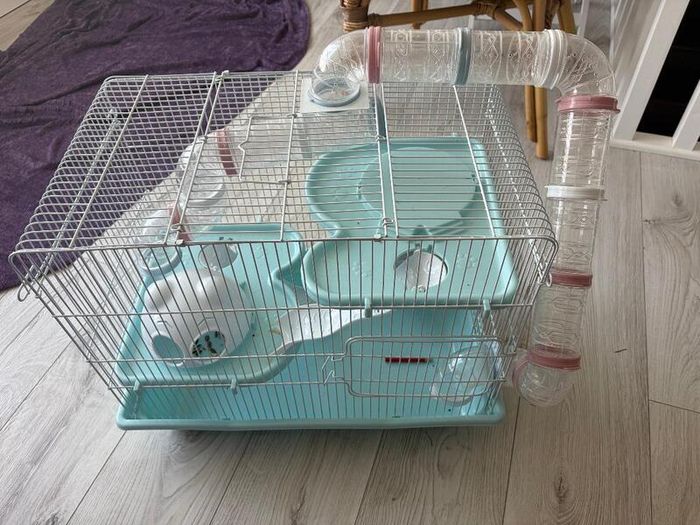 Hamster cage