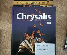 Chrysalis book and portfolio