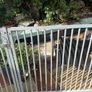 fence Image 2
