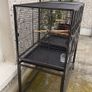 bird cage Image 3