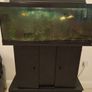 Free Fish Tank Image 3