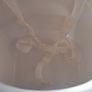 High Chair Image 2
