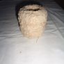 EMU Coolspun Cotton DK Wool for Sale Image 4