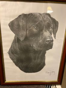 Mike Sibley signed Labrador print