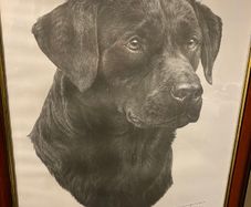 Mike Sibley signed Labrador print
