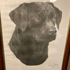 Mike Sibley signed Labrador print