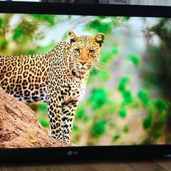 LG 42inch TV