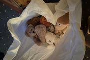 A bag of toys