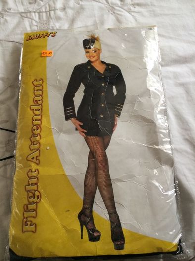 Ladies Flight Attendant costume