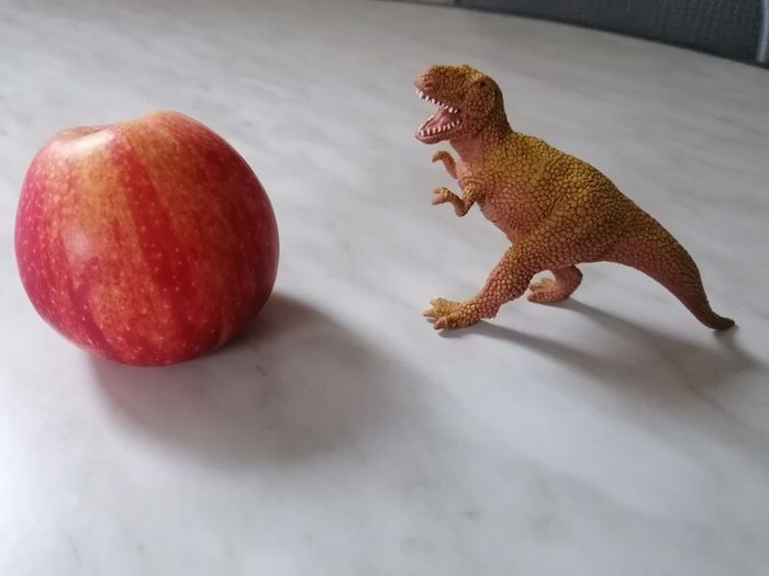 20 Dinosaur Toys