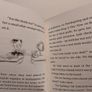 Judy Moody And Stink Children,s Books By Megan Mcdonald Image 5