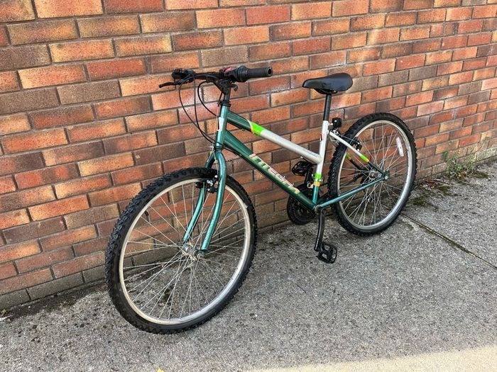 26 Inch Integra Everglades bike